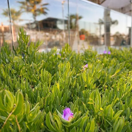 Lejlighed Sasso Bianco Durrës